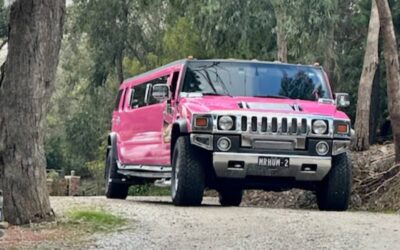 Pink Hummer Limo Hire – Pixie