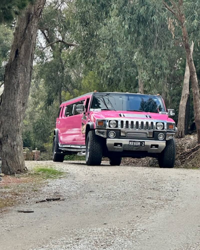 Pink Hummer Limo - Pixie (2a)