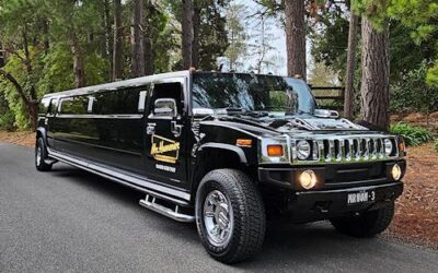 Black Hummer Limo – Black Panther