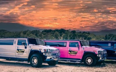 Winery Tours Limo Hire