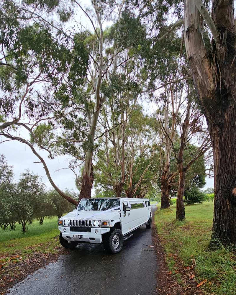Melbourne White Hummer Limos Hire